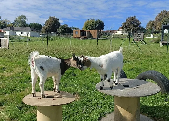 Solemi Casteide-Candau